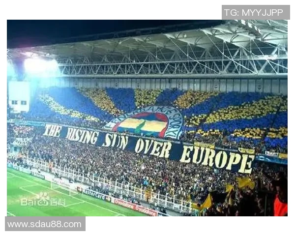 费内巴切足球俱乐部的辉煌历史与未来展望解析