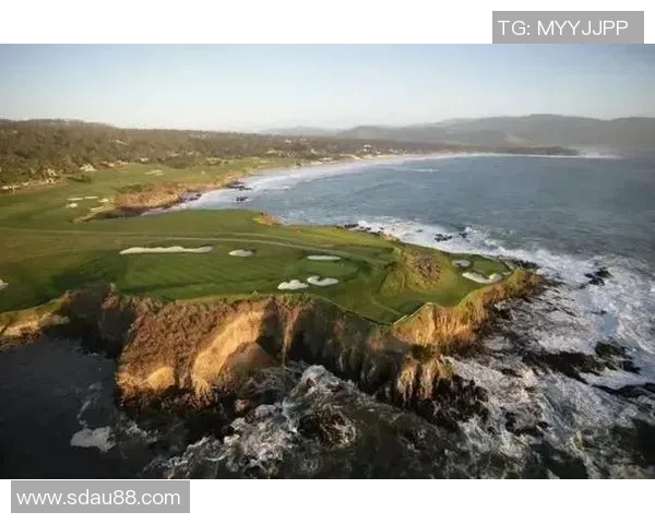 日本对阵喀麦隆精彩直播全程回顾与赛后分析尽在这里