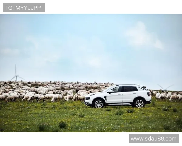 汽车与比赛视频下载的完美结合探索与体验之旅