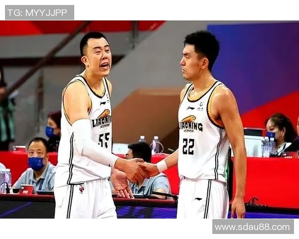 辽宁队新赛季阵容变动,球迷期待新星崛起 辽宁队新赛季阵容变动,球迷期待新星崛起