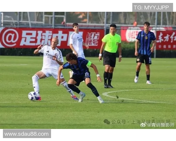 努涅斯在赛场上的崛起与挑战解析，揭示未来足球之星的潜力与发展方向