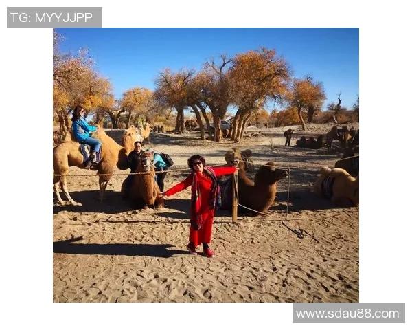 吕俊虎的成长之路与奋斗历程探秘，启示我们如何追逐梦想与实现自我价值