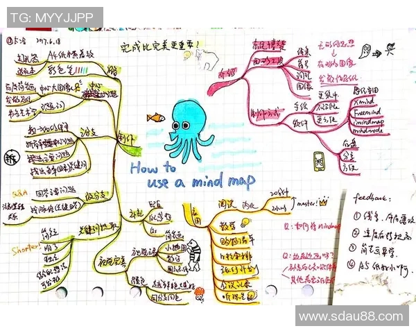 探讨巴克利规则在投资决策中的重要性与实际应用分析