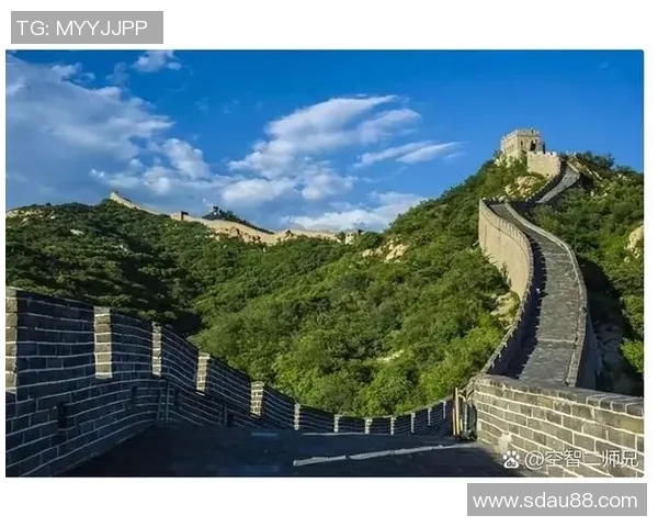 斯特拉瑟的传奇旅程与时代变迁中的不朽印记