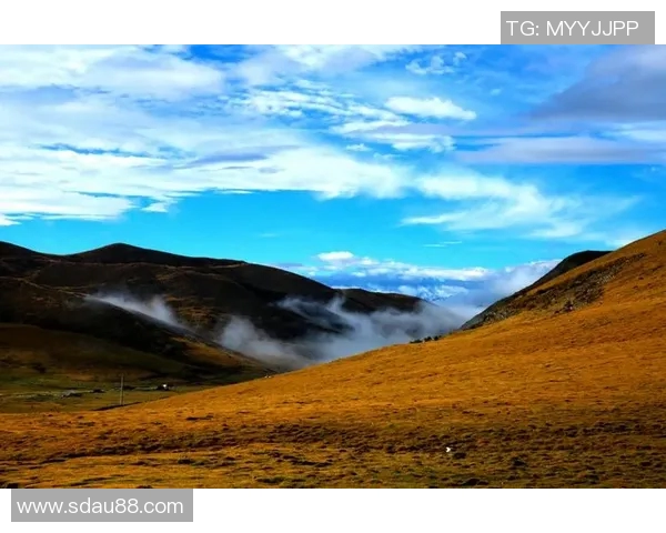 萨林杰的文学世界与人性探索：从孤独到归属的心灵旅程