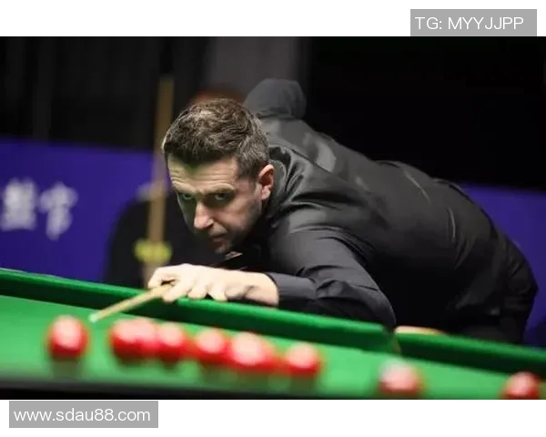 霍金斯与沃顿的对决：科学与哲学的碰撞与启示